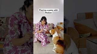 Playing a game with Romeo