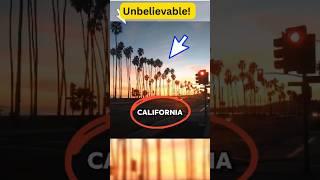 Incredible Rare Photos That Prove Life Is Full of Shocking Surprises | 356