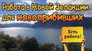 Работа на Фермах в Новой Зеландии. Уехать Жить Заграницу.