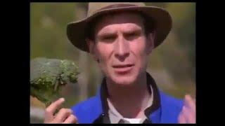 Bill Nye the Science Guy S04E02 Nutrition