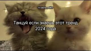 Танцуй если знаешь этот тренд 2024 года