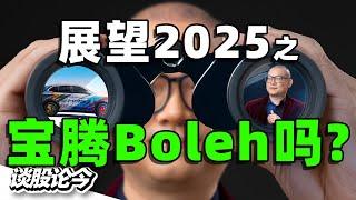 展望2025之：大马汽车销量还能突破吗？汽车板块股票展望【谈股论今 233】