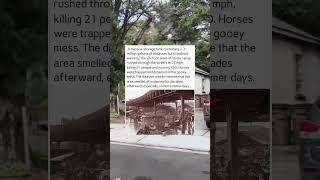 The Day Boston Drowned in Molasses#molassesflood  #boston  #1919  #disaster  #sweet