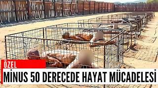 Rusya'nın En Soğuk Hapishanesi! Mahkumlar 50 Derecede Ölüme Terk Edildi!