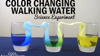 Color Changing Walking Water Science Experiment