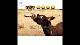 Funny and wtf moments with gomar