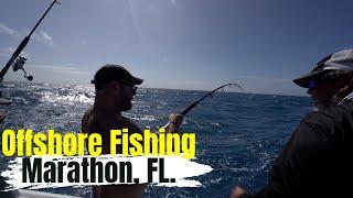 Offshore fishing in Marathon Florida