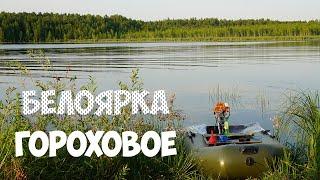 БЕЛОЯРКА |ЛЕЩ |ГОРОХОВОЕ