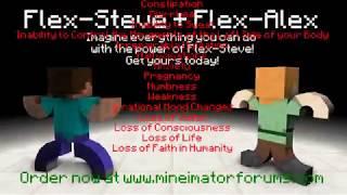 Flex-Steve Commercial