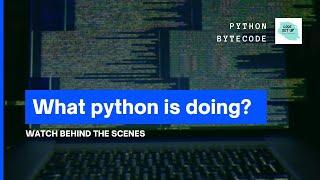 Disassemble the python byte code. Inspect the python code.