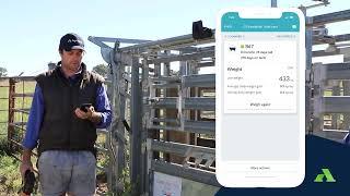 Live Session | AgriWebb In Action
