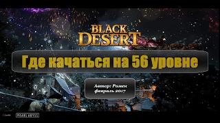 Где качаться на 56 уровне в Black Desert