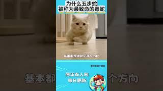 为什么五步蛇被称为最致命的毒蛇？