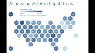 Visualizing Veteran Populations