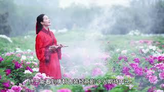 The premiere is here. Yang Zi's new drama is here. Finally, there is a costume business drama that I