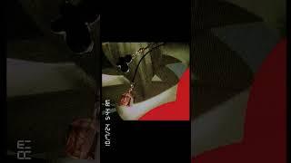 hey  everyone this is me sehar Malik jewelry unboxing part 2