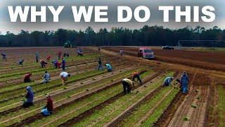 On food and immigration