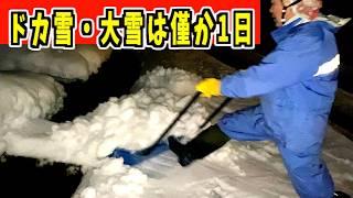 【早朝除雪】2024-12-25 もう終わった〜！ドカ雪・大雪だったのかな？！パパさんダンプ　snow removal