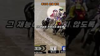 장애를 극복하며 모두를 감동시킨 경주마 루나를 아시나요? #shorts