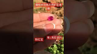 粉红宝#mogok #蓝宝石 #尖晶石 #红宝石 #海蓝宝 #钻石 #碧玺 #钻石 #缅甸 #缅甸
