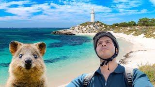 بهترین سفر یک روزه به جزیره راتنِست | Rottnest Island, WA