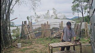 The monkey Nahu and I witnessed the scene of devastation after super typhoon Yagi passed