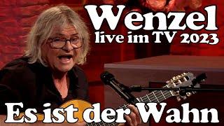 Wenzel - Es ist der Wahn (solo unplugged TV-Auftritt 2023)