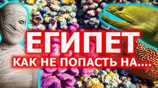 Египет для Чайников - Советы туристам от "Ехать Надо?"