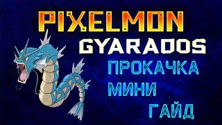 PIXELMON | 1.7.10 | 1.12.2 | Как прокачать покемона - Gyarados!