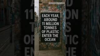 Plastic in Our Oceans, and Now in Us?