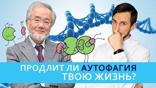 Продлит ли аутофагия твою жизнь? О чем недоговаривает японский ученый Есинори Осуми?