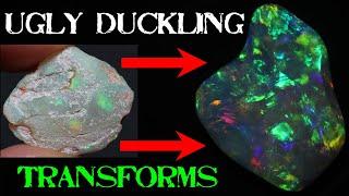 HUGE Transformation! Shattered Gem Opal Shell Meet The Dremel. Carving Opal Shell Fossil Gem