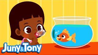 Animal Friends | My Little Pet | Animal Songs for Kids | Preschool Songs | JunyTony