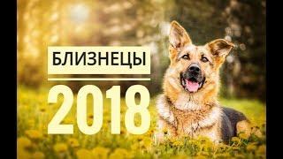 БЛИЗНЕЦЫ  2018. Самый точный гороскоп онлайн для всех