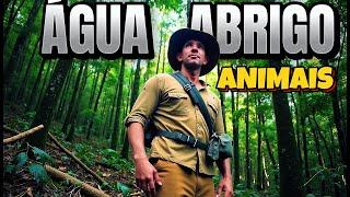 No Limite da Sobrevivência: Episódio 3 – Água, Abrigo e Animais Perigosos na Selva