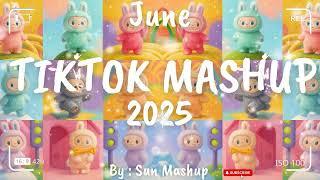 Tiktok Mashup June 2025 (Not Clean)
