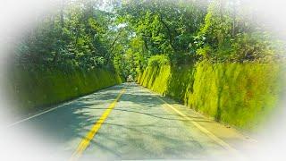 단양 이끼터널 가는길 집에서 드라이브 / Drive at home on a beautiful road in Korea