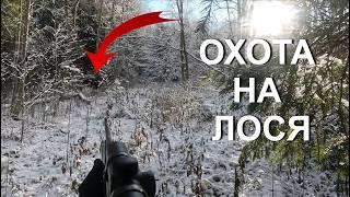 Охота НА ЛОСЯ  ТРОФЕЙ добыт...