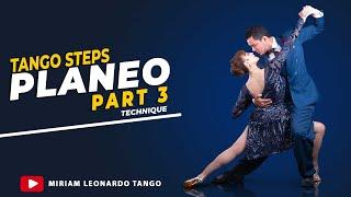 TANGO STEPS:  "Planeo"    (Part 3 of the Series)