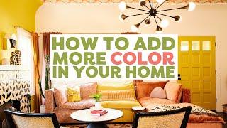 Unexpected Ways to Add Color In Your Home, With Dani Dazey