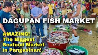 Dagupan Fish Market Tour with Prices — Amazing Seafood Market Scene of Pangasinan | BER-Months 2024