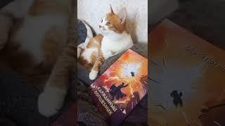 Книжная Котя #книжки #book #книги #booktok