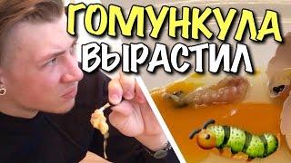 VLOG: Я ВЫРАСТИЛ ГОМУНКУЛА #1 (10 дней) / Андрей Мартыненко