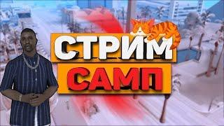 СТРИМ ПО CАМПУ АРИЗОНА РП БРАИНБУРГ