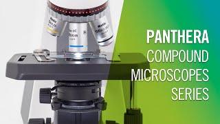 Panthera Compound Microscopes Series | by Motic Europe