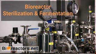 Stainless Steel Bioreactor Guide | Fermentation & Sterilization | No.8