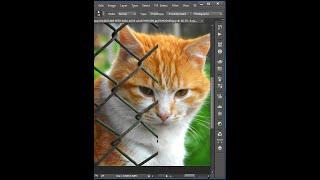 Remove Fence Simple Steps in Photoshop! |MH Tech