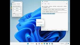 RUN VIRTUAL DONGLE CLONE SENTINEL HASP HL  IN WINDOWS 10 WINDOWS 11