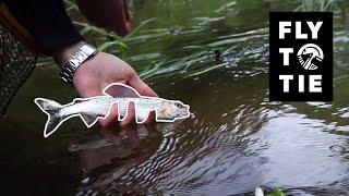 Dry Fly Fishing For Grayling in Samogitia