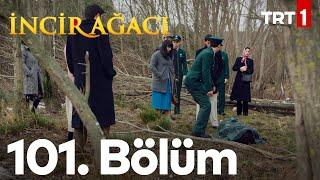 İncir Ağacı 101. Bölüm